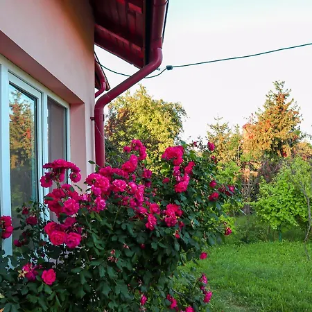 הוילה בריאזה Casa Ili מראה חיצוני תמונה