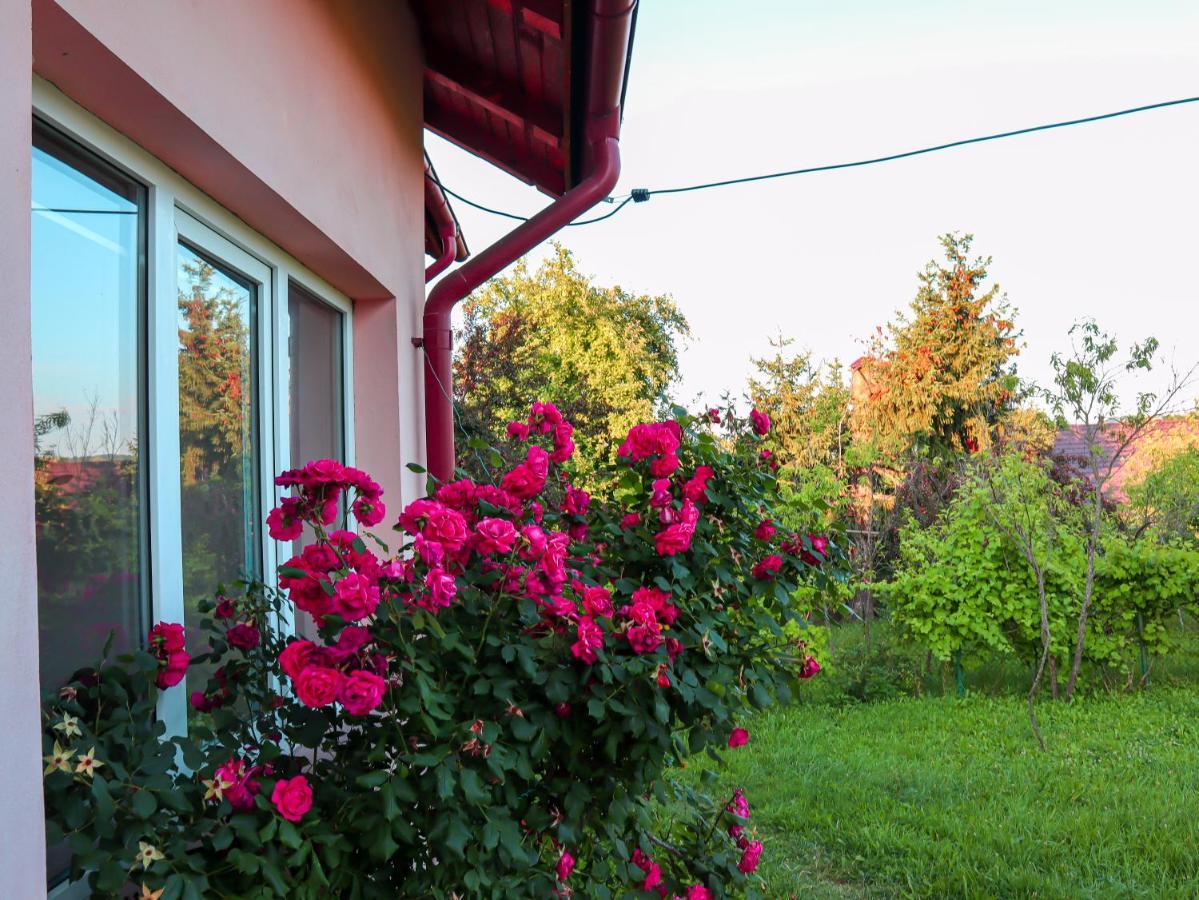 Casa Ili Holiday home