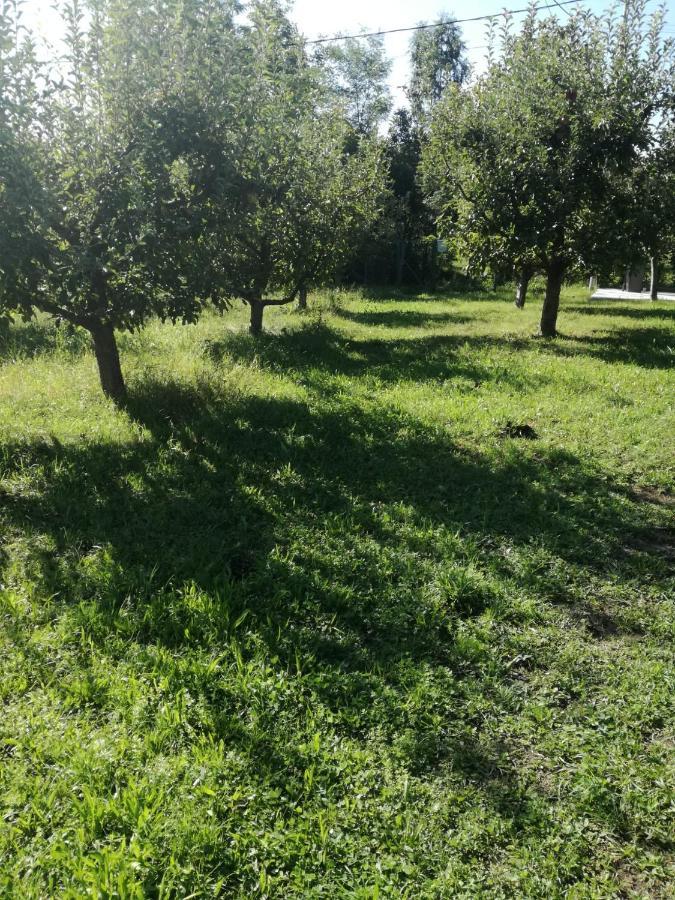 Holiday home Casa Ili Breaza (Prahova)