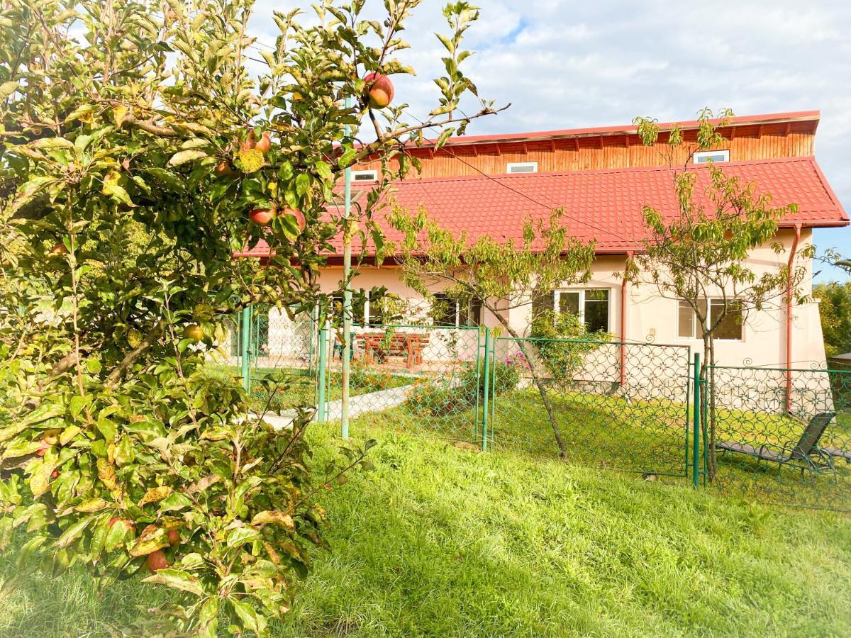 Casa Ili *